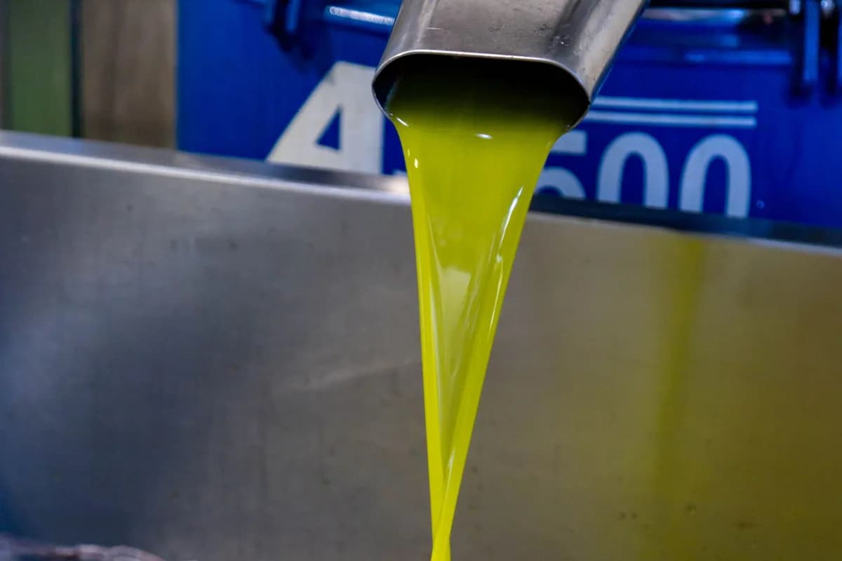 Palm Oil and Edible Oils Procurement: RSPO, EUDR, and Bulk Logistics